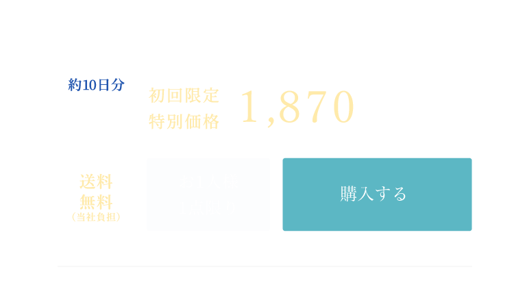 チャレンジ10